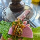 제주탐몽 이미지