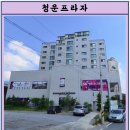 본프라자 이미지