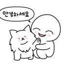 김해애견호텔 강아지유치원 맘바이 김해점 이미지