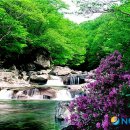 경관자원 이미지