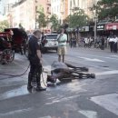 더 마차 이미지