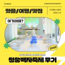 청송기획 - 강남구 개포로28길 13 | 2024 청송백자와 친해지는 청송백자축제 후기