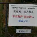 바이버리 이미지