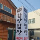 제주도 맛집탐방 제주시우리솥해장국 성산일출봉 충남식당 모슬포 할망밥상에서 제주도 진맛을 다 맛보았네요^^ 이미지