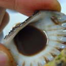 거시기꼬막식당 이미지