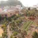 고성버드리민박 이미지