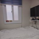 리브가 스테이 이미지