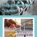 한길동물병원 이미지