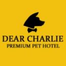 찰리애견미용샵 이미지