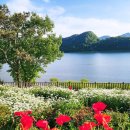 옥정호로 이미지