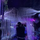 광명동굴 이미지