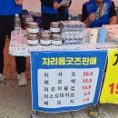 GS 제주보목점 | 2026 제주 자리돔축제 후기 5세 아이랑 보목포구에서 뿔소라 잡기 성공!