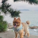 카페마르 이미지