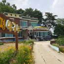 메밀촌 봉평막국수 이미지