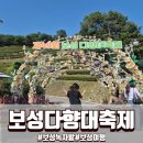보성다향대축제 후기 보성녹차마라톤 전날 가족여행으로 다녀온 녹차밭 축제