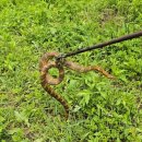 재복농장 이미지