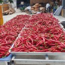 철이네농장 이미지