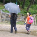 신신데렐라