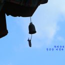 비우고채우는숲 이미지