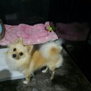 루루호텔 이미지