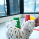 옐레드 애견유치원 & 애견호텔 대전노은점 이미지