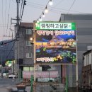 캠핑하고싶닭