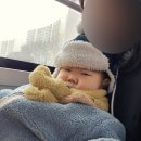 사우어린이집 | &lt;주니토니 발레스타&gt; 25개월~28개월 문센 후기