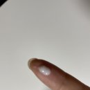 방역하기좋은날 | 벼룩 물린자국 특징과 흉터 없이 관리한 후기