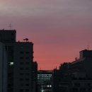 노블린카 이미지