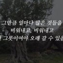 올리브비어 이미지