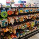 펫스토리 이미지