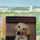 송소희x두번째달x김준수: 모던민요 이미지