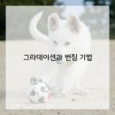 수채화(기초) 이미지