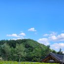 지남목장 이미지