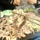 동읍1272 | 창원 상남동 오리고기맛집 <3번오리중매인> 유황 생오리 구이 양념 불고기