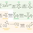 Re: phytomelatonin 식물 함유 멜라토닌 2021년 이미지