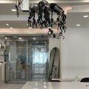 울산 젤리펌 히피펌 내돈내산 솔직후기 헤어르뽀렘 삼산점