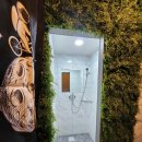 위너 복싱 이미지