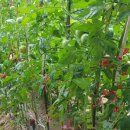 영근농장 이미지