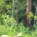 미라클스위트하우스 이미지