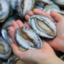 전복총각 이미지