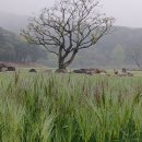 다온이상점 이미지