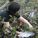 온달농장 이미지