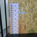 뚜루실내낚시 | 일산에서 바다낚시를? 생생한 뚜루실내바다낚시터 후기! 데이트코스로도 좋아요~(feat. 8자 점성어)