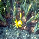 사과시험장 앞 이미지