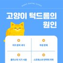 석적동물병원 이미지