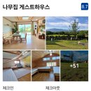 수지게스트하우스 | 제주 올레길 17코스 이호테우해변 가성비숙소 외도 수지게스트하우스 나무집게스트하우스 트리하우스