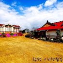 나비텃밭농원 이미지