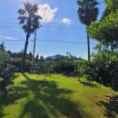 펜션 153 이미지