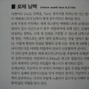 샤르 이미지